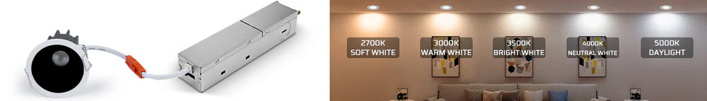 PRO Series LED Downlights