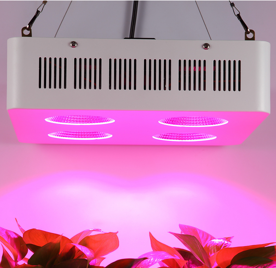Industrial LED Grow Lights
