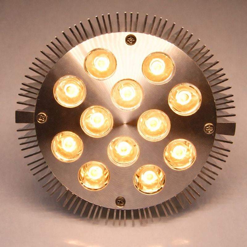 12 W (12 x 1 W) PAR38-LED-Lampe mit E27-Edison-Schraubsockel, entspricht 90 W, 100–240 V AC, silbernes Gehäuse, Innentyp