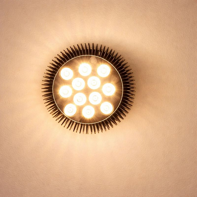 12 W (12 x 1 W) PAR38-LED-Lampe mit E27-Edison-Schraubsockel, 90-W-Äquivalent, 100–240 V AC, schwarzes Gehäuse, Innentyp
