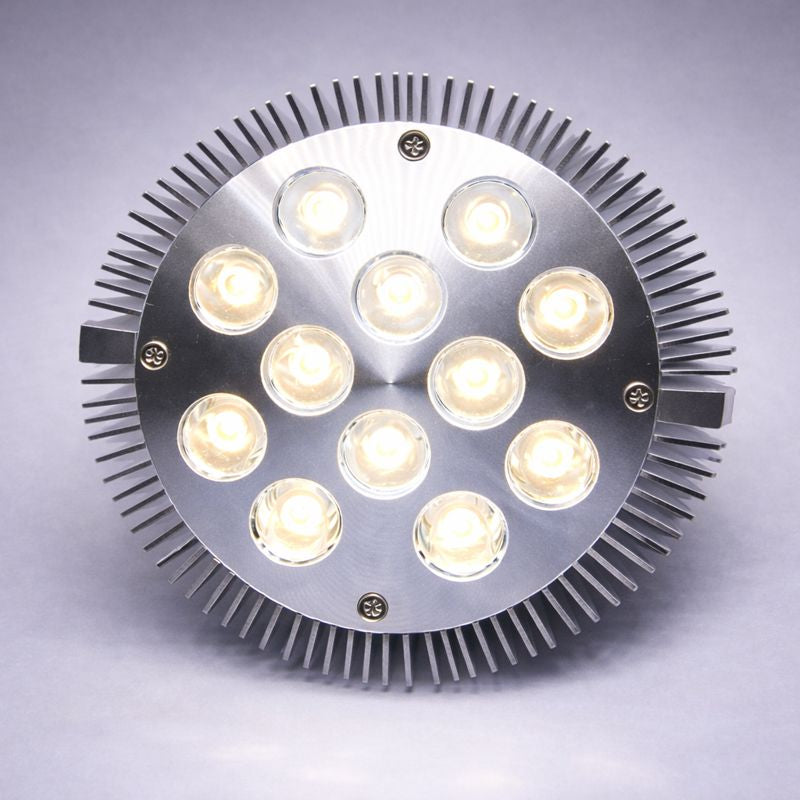 12 W (12 x 1 W) PAR38-LED-Lampe mit E27-Edison-Schraubsockel, entspricht 90 W, 100–240 V AC, silbernes Gehäuse, Innentyp