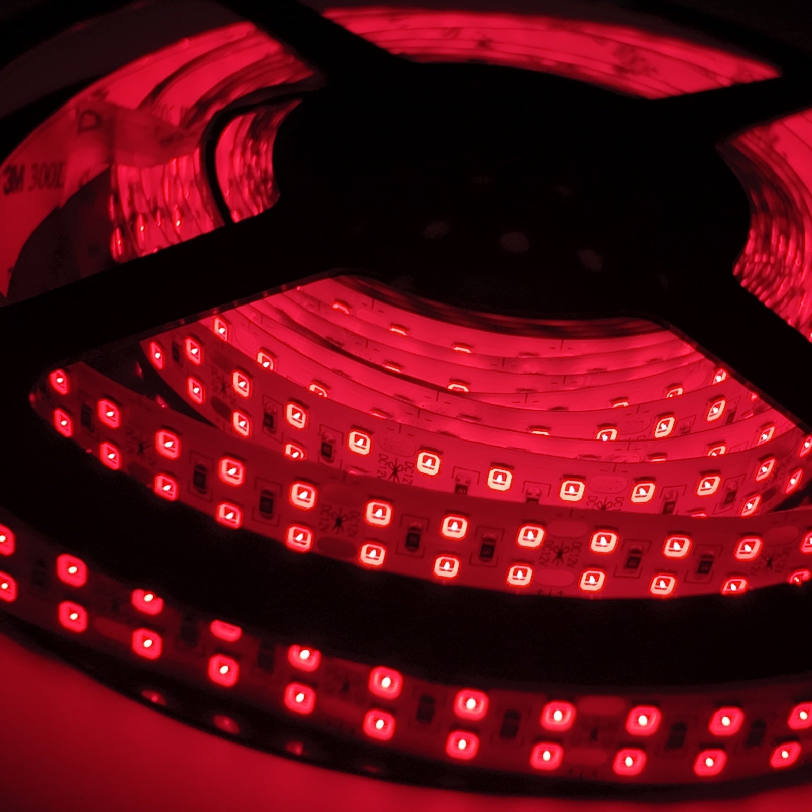 Bande lumineuse LED infrarouge SMD2835 730–735 nm DC12 V – Rouge lointain pour le contrôle de la floraison et de la photopériode, 60/120/240 LED/m, 5 mètres, IP00/IP65