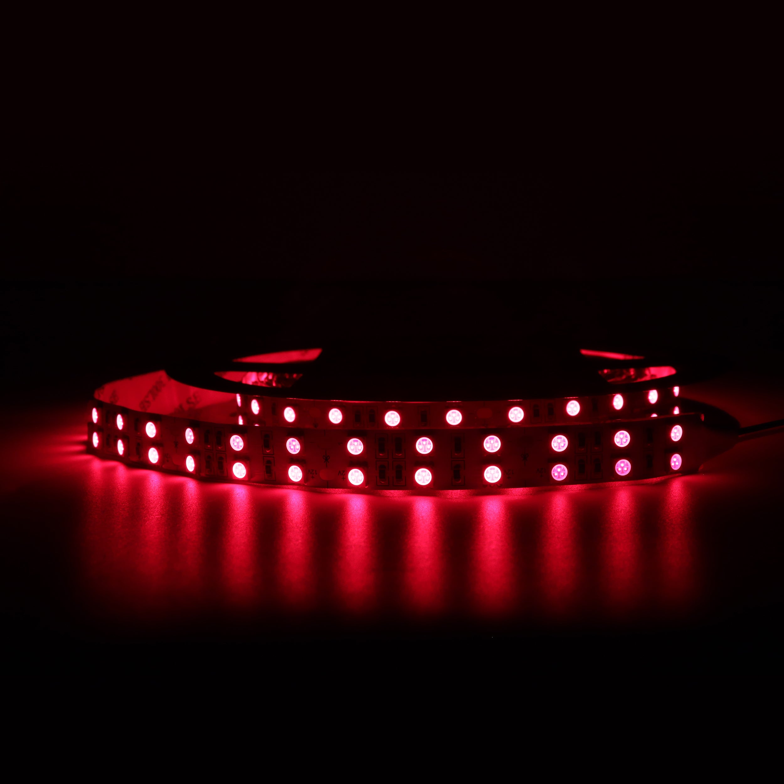 810 nm SMD5050 DC12V Infrarot-LED-Lichtleiste – Hochleistungs-Nah-IR für die Therapie, 30/60/120 LEDs/m, 5 Meter, IP00/IP65