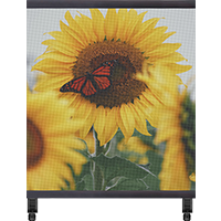 Transparentes LED-Posterdisplay der EP-T-Serie | 2 × 2 m | P3,91 mm | Großer holografischer LED-Filmbildschirm für Schaufenster