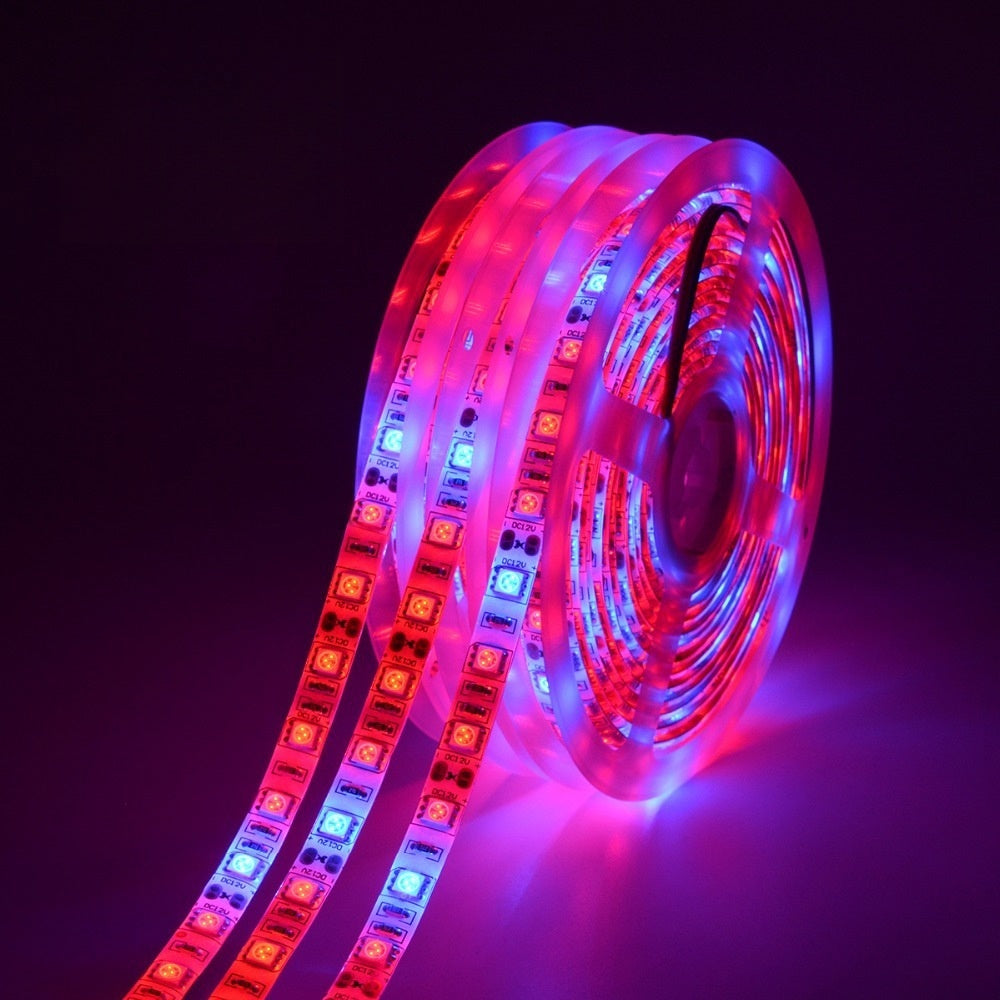 Pflanzenwachstum ROT: BLAU / 660 nm: 460 nm LED-Wachstumslicht SMD5050 60 LEDs 12 V 14,4 W pro Meter Streifen