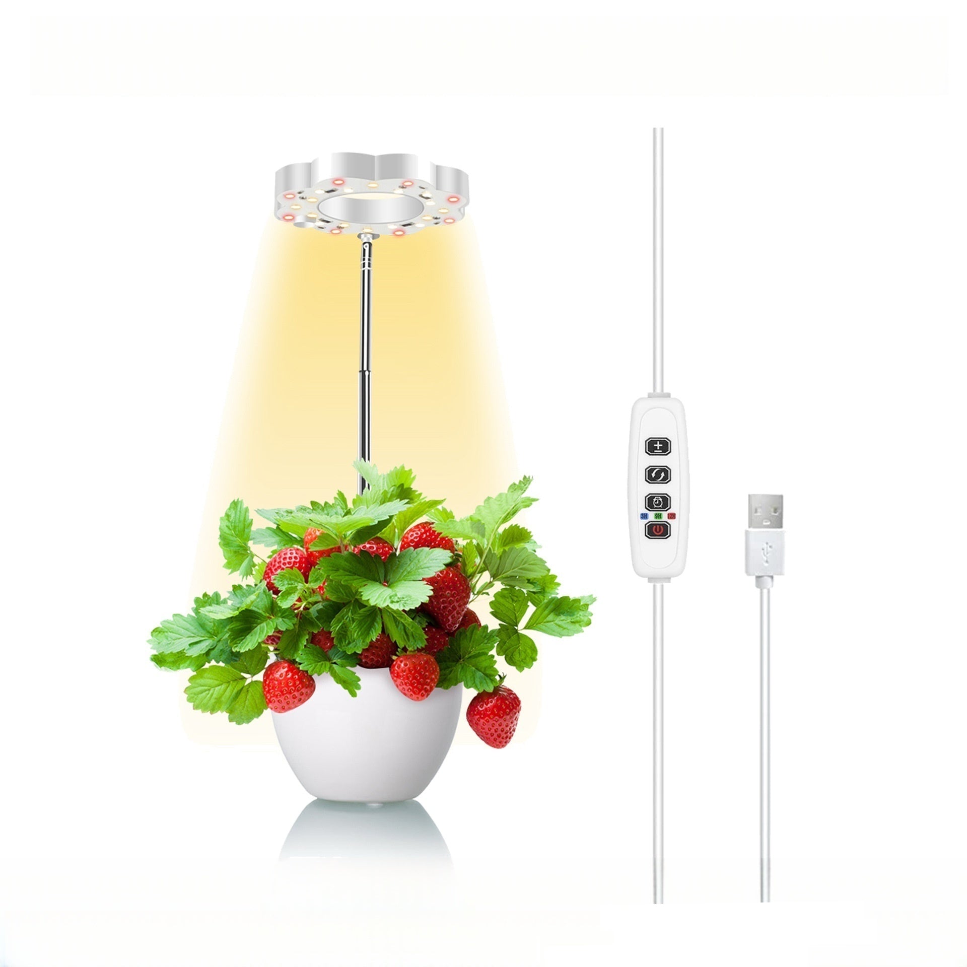 Potted Plants LED Grow Light - 5V | Height Adjustable | Auto On/Off Timer | Full Spectrum | Stake / Desk Base | Dimmable Brightness | Halo Plant Lamp for Indoor Plants Growing | USB Plug | 1 / 2 Pack
