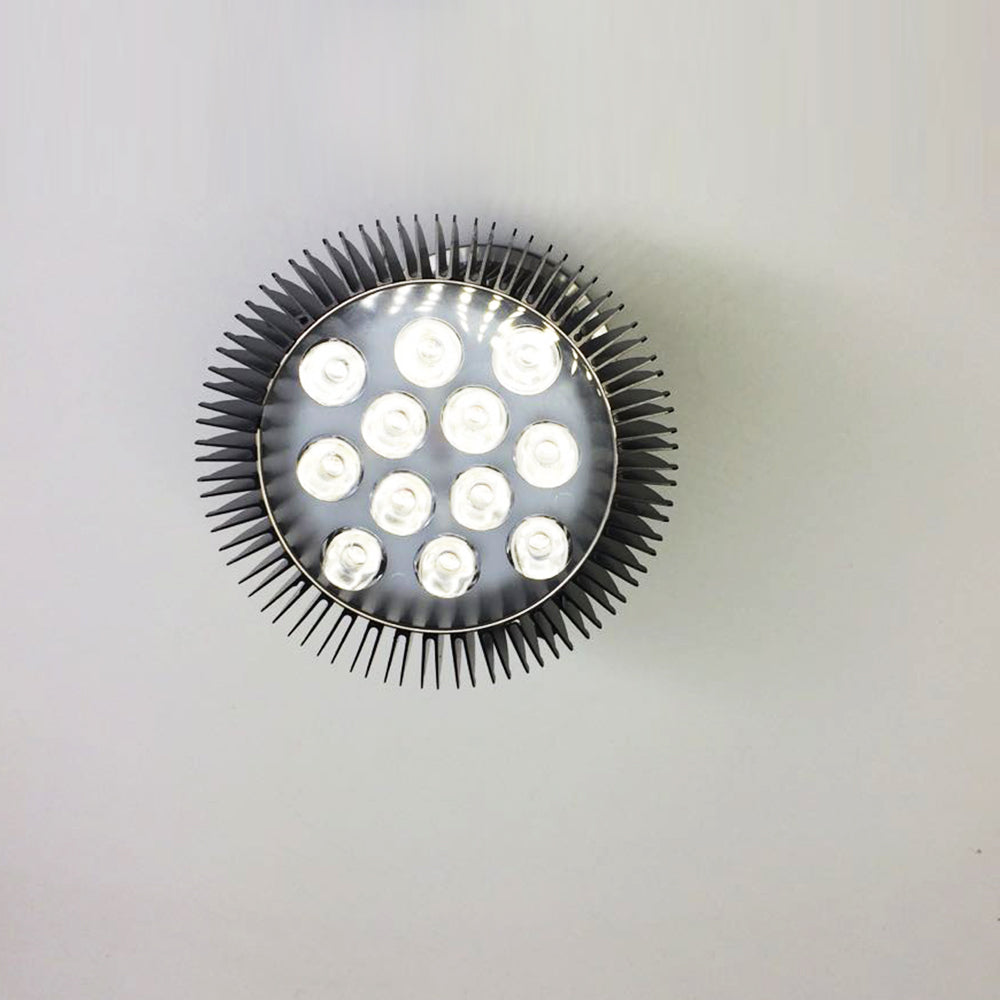 12 W (12 x 1 W) PAR38-LED-Lampe mit E27-Edison-Schraubsockel, 90-W-Äquivalent, 100–240 V AC, schwarzes Gehäuse, Innentyp