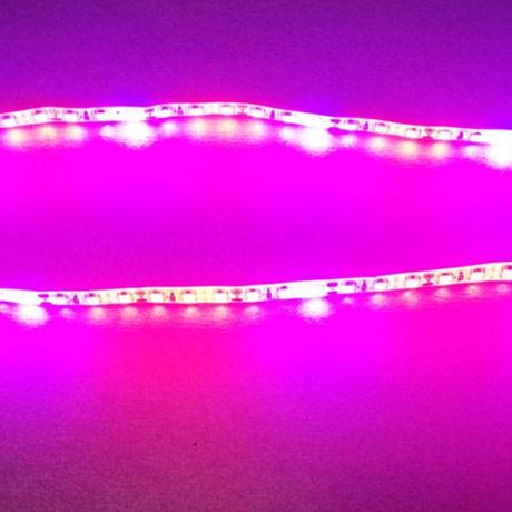 10 Stück 2/3/4 Fuß LED-Röhre T8 Pflanzenlampe Rot/Blau Spektrum (R:B=5:1) Klare Linse für Zimmerpflanzen, Gemüse und Blumen, Hydrokultur-Gewächshaus