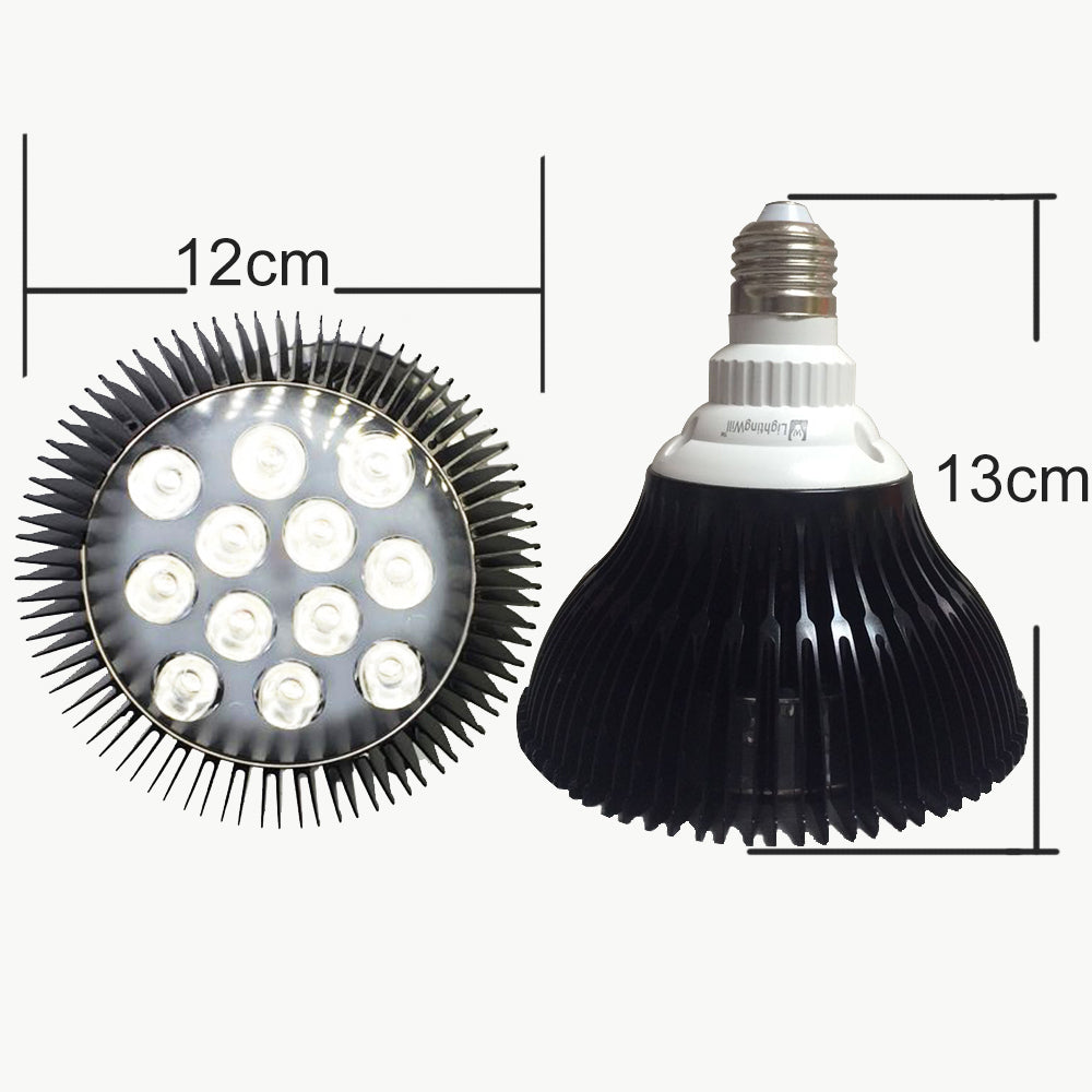 12 W (12 x 1 W) PAR38-LED-Lampe mit E27-Edison-Schraubsockel, 90-W-Äquivalent, 100–240 V AC, schwarzes Gehäuse, Innentyp
