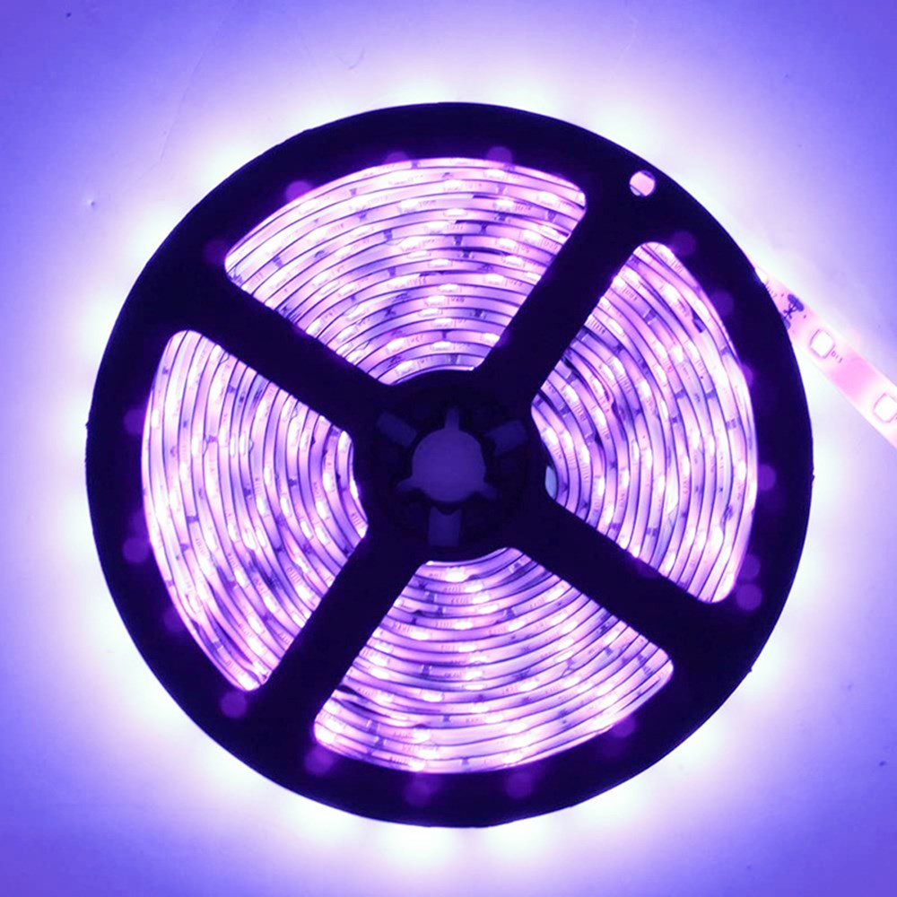 380-385nm SMD5050 UV LED Strip Light – 16.4FT / 5M | 30 / 60 / 120 LEDs/m | DC12V | Non-Waterproof / IP67 Waterproof | Not Include Power Supply | for Curing, Currency Validation & Medical Field