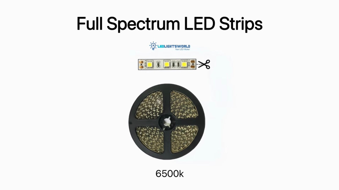 DC24V SMD5050 Full Spectrum LED Strip CRI97+ 6500K Mirror & Cabinet Lighting Demo | LEDLightsWorld