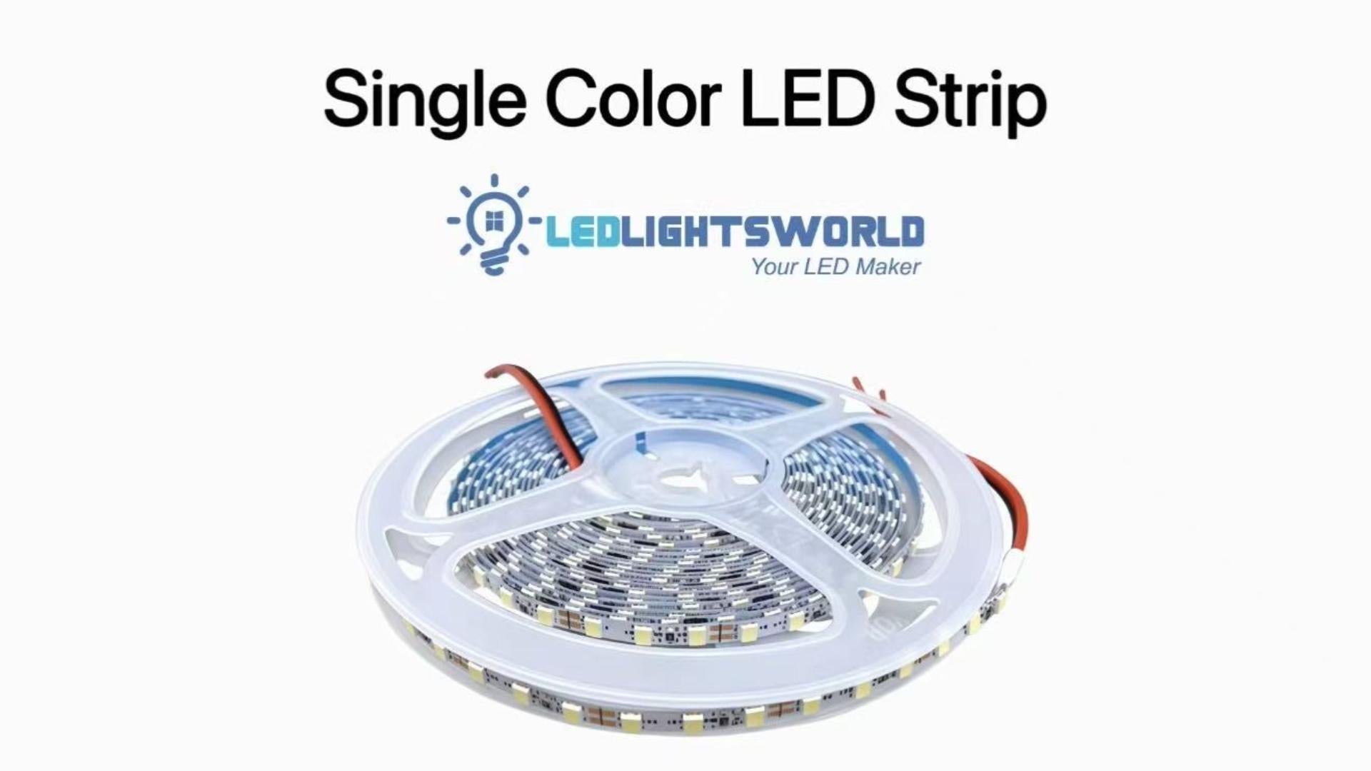 SMD2835 6000K LED Strip Light 120 LEDs/m – Slim 12V Lighting Demo | LEDLightsWorld
