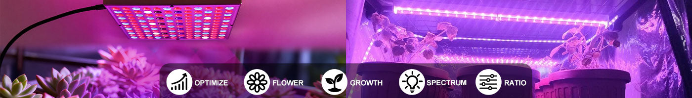 LED Grow Lights