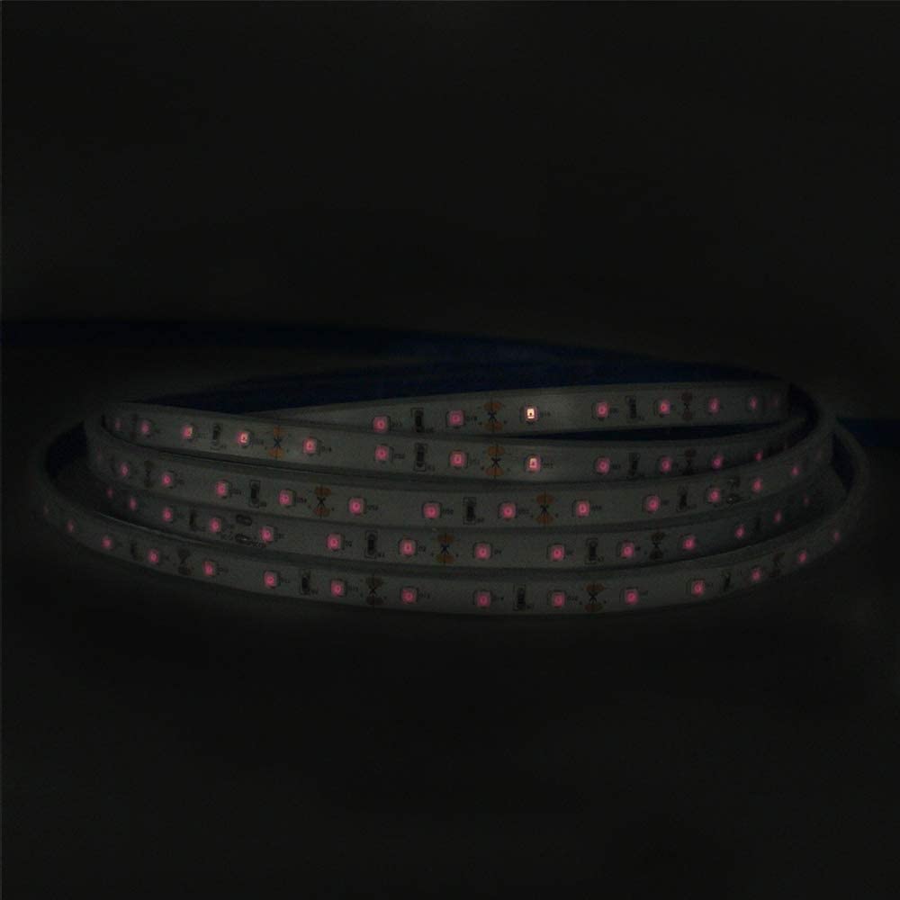 810nm SMD2835 DC12V Infrared LED Strip Light – Near IR for Therapy & Circulation, 60/120/240 LEDs/m, 5/50 Meters, IP00/IP65
