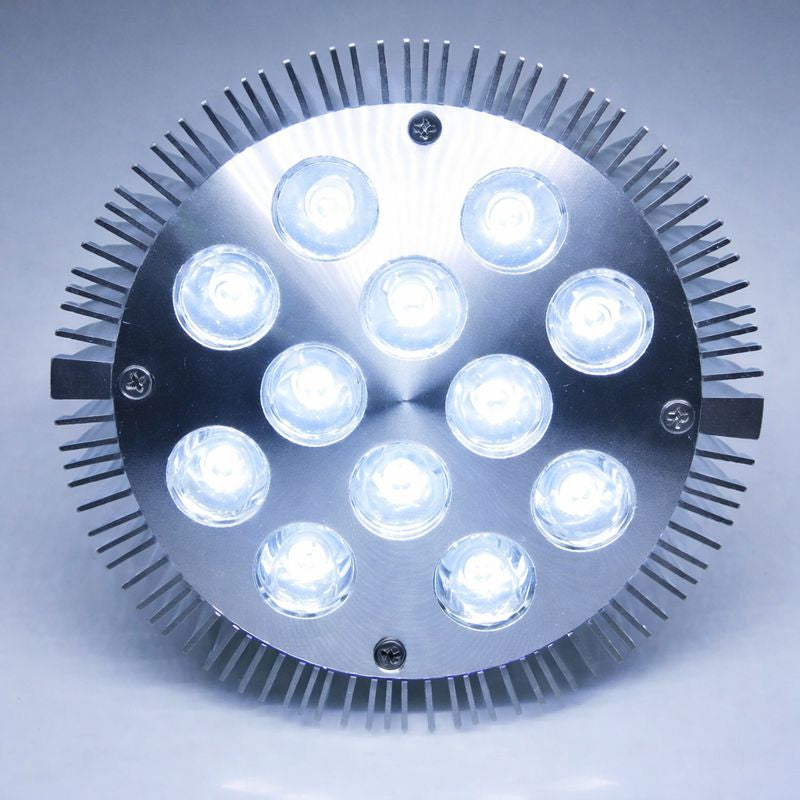 12 W (12 x 1 W) PAR38-LED-Lampe mit E27-Edison-Schraubsockel, entspricht 90 W, 100–240 V AC, silbernes Gehäuse, Innentyp