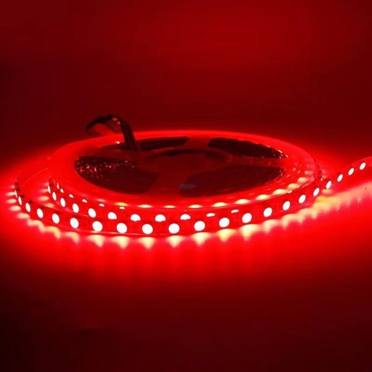 Bande lumineuse LED RVB 6 mm, 5 mètres, SMD5050, 300 LED/rouleau, DC12 V < 60 W, 5 A, flexible, changement de couleur RVB