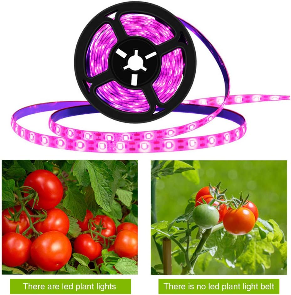 Plant Growth RED:BLUE /660nm:460nm  LED Grow Light  SMD5050 60LEDs 12V 12W Per Meter Strip