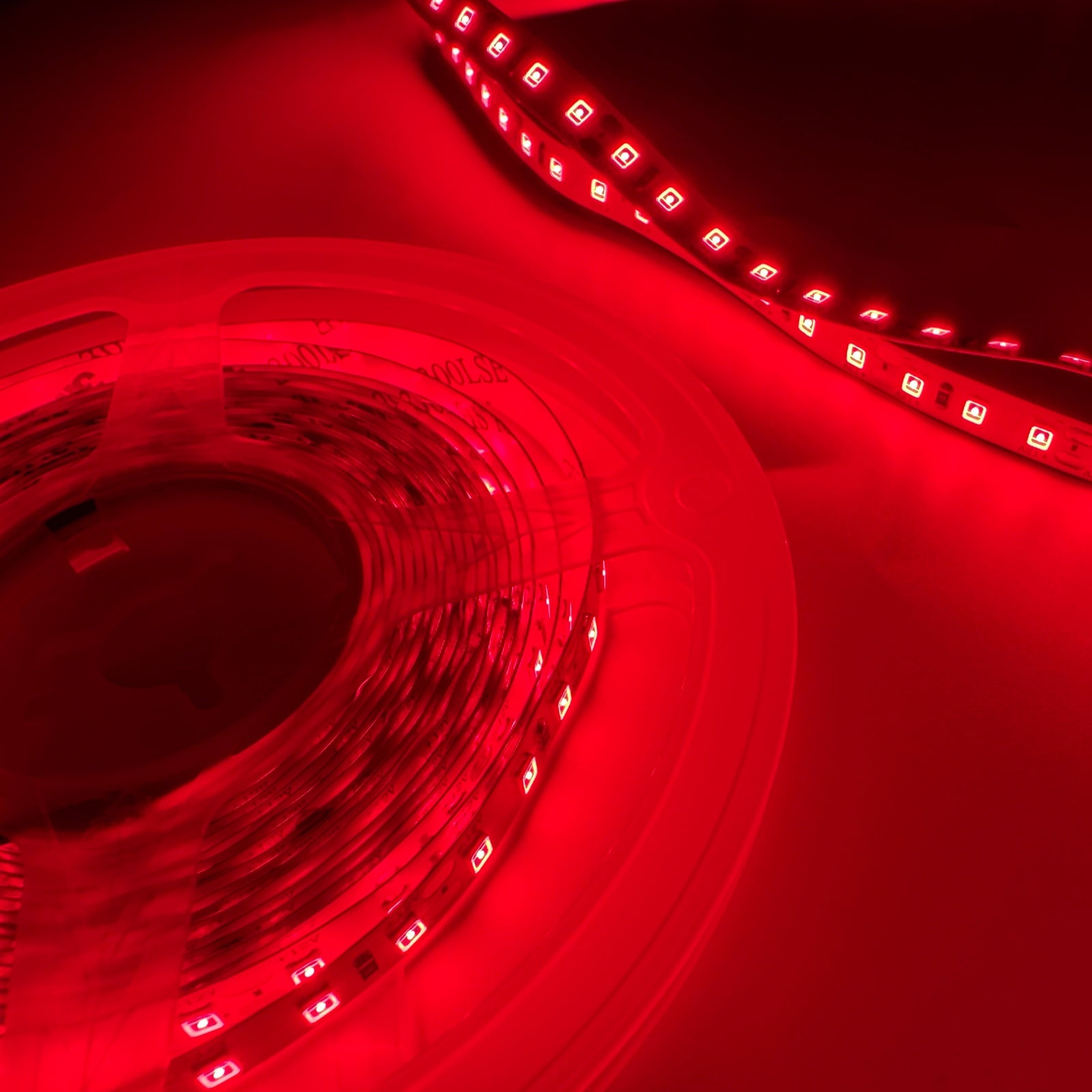 Bande lumineuse LED rouge SMD2835 DC12 V 660–670 nm – Lumière rouge intense pour la thérapie et la croissance, 60/120/240 LED/m, 5 mètres, IP00/IP65