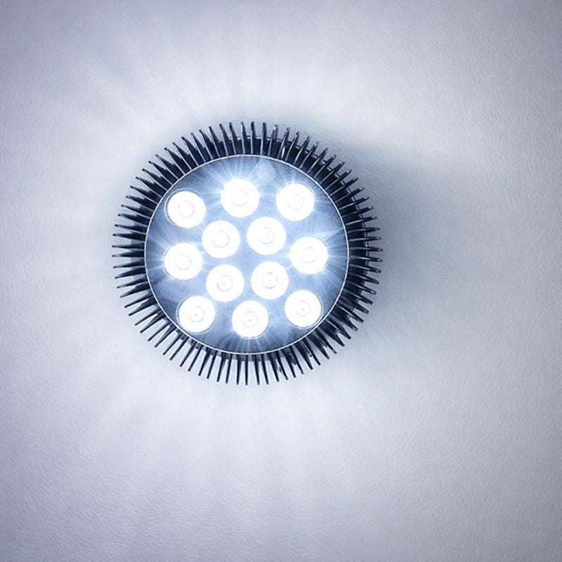 12 W (12 x 1 W) PAR38-LED-Lampe mit E27-Edison-Schraubsockel, 90-W-Äquivalent, 100–240 V AC, schwarzes Gehäuse, Innentyp