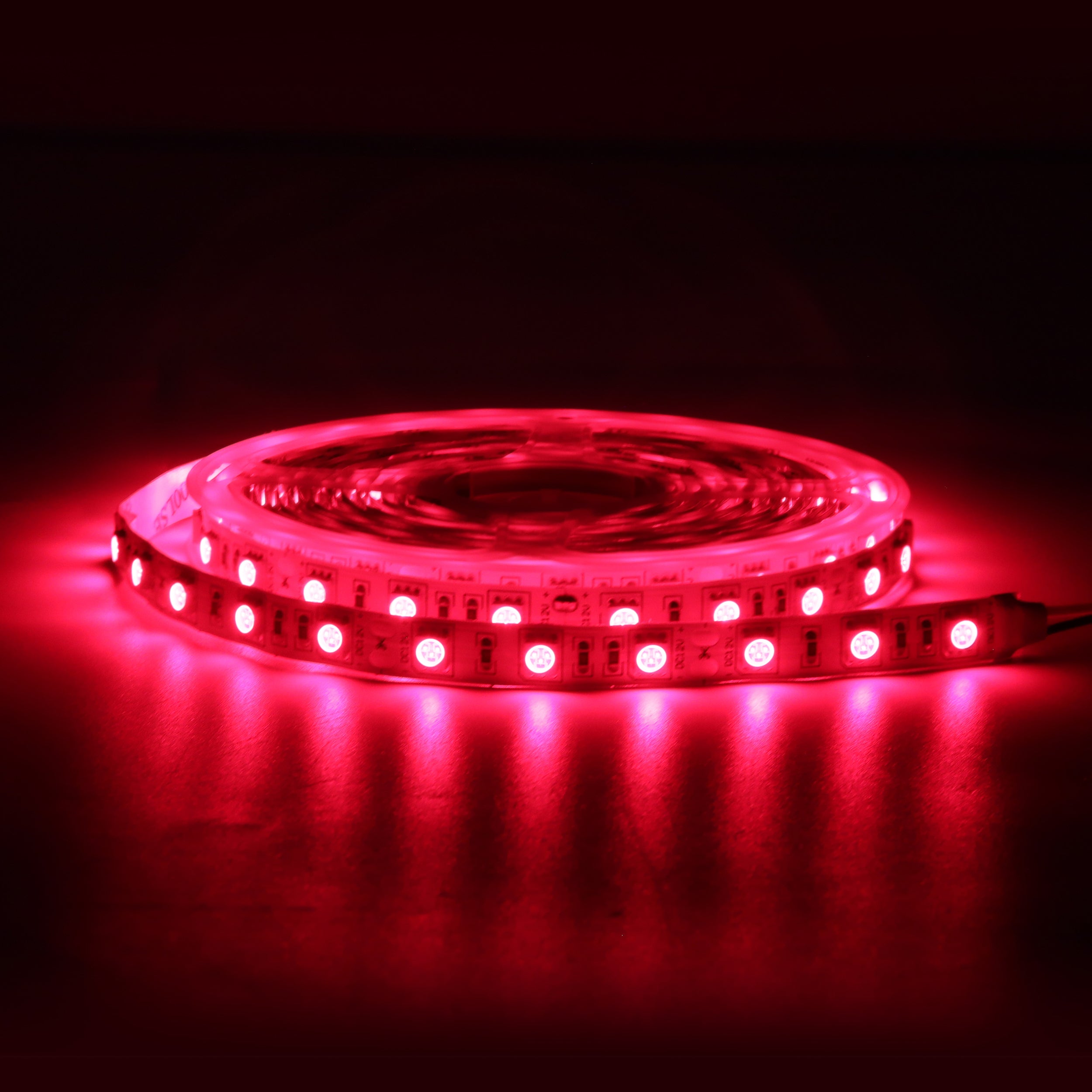 Bande lumineuse LED rouge SMD5050 DC12 V 660–670 nm – Haute puissance pour thérapie et plantes, 30/60/120 LED/m, 5 mètres, IP00/IP65