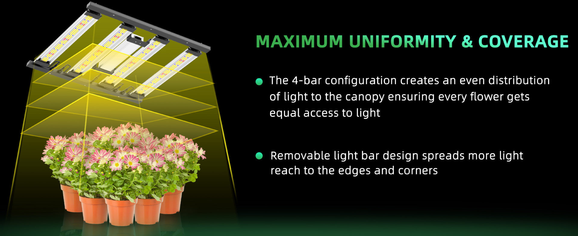Lampe de croissance LED 12 W, culot E27, 2 bandes de longueur d'onde, mélange de 12 ampoules LED pour plantes trapues au stade de semis, germination de graines de légumes, mini plantes succulentes/fausses en pot