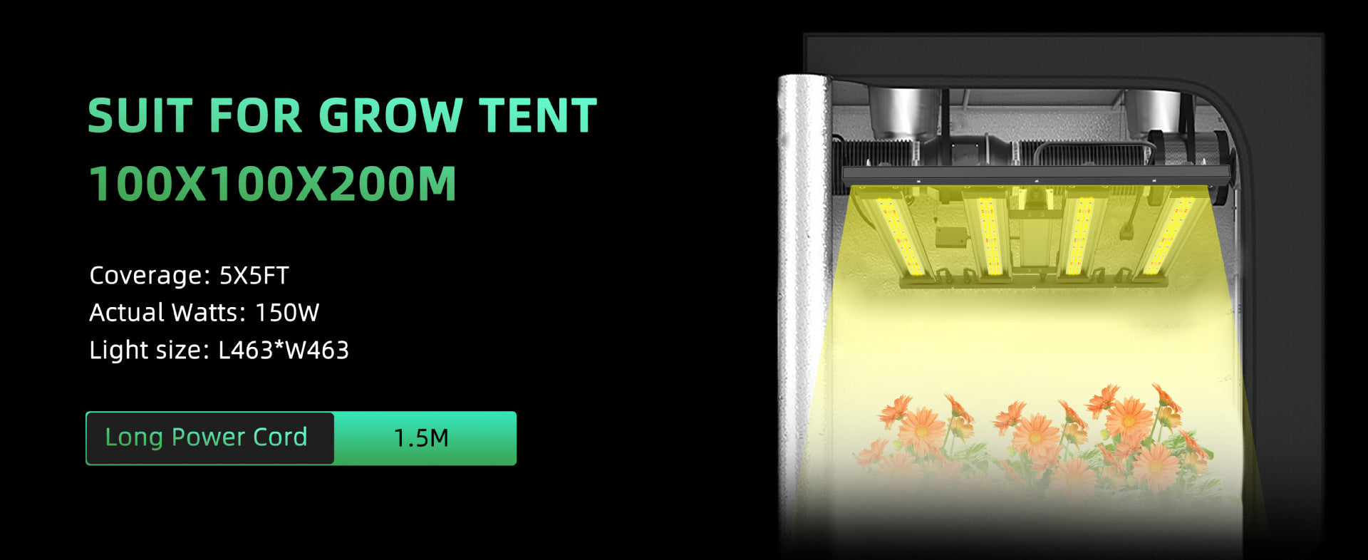 Lampe de croissance LED 12 W, culot E27, 2 bandes de longueur d'onde, mélange de 12 ampoules LED pour plantes trapues au stade de semis, germination de graines de légumes, mini plantes succulentes/fausses en pot