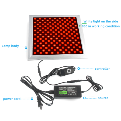 50W Infrared Therapy Lamp – Red Light 655–665nm & IR 850–860nm | Dimmable & Timer | AC100–240V | Aluminum Alloy + PC Cover | for Skin Beauty, Muscle | Blue Stand / Desktop Stand | Included Controller, Protective Goggles | US / EU / UK / AU Plug