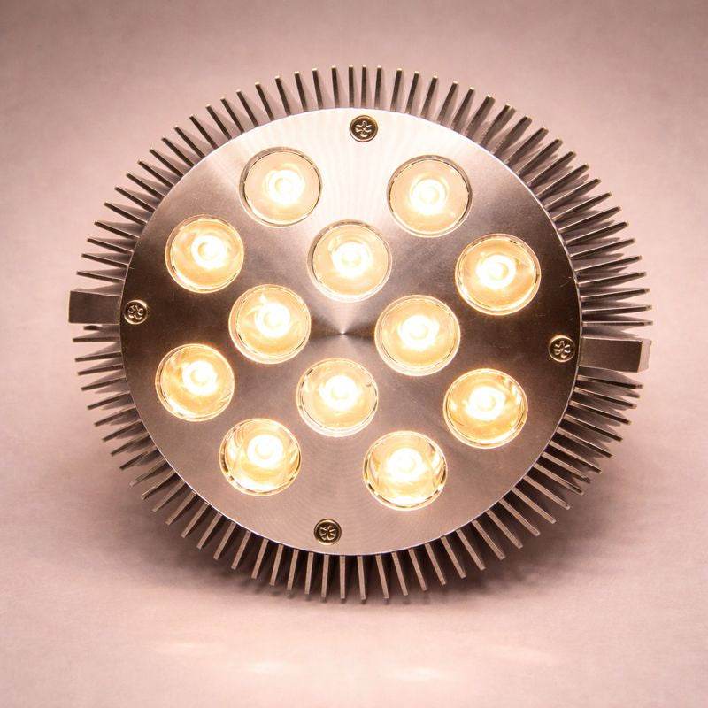 12 W (12 x 1 W) PAR38-LED-Lampe mit E27-Edison-Schraubsockel, entspricht 90 W, 100–240 V AC, silbernes Gehäuse, Innentyp
