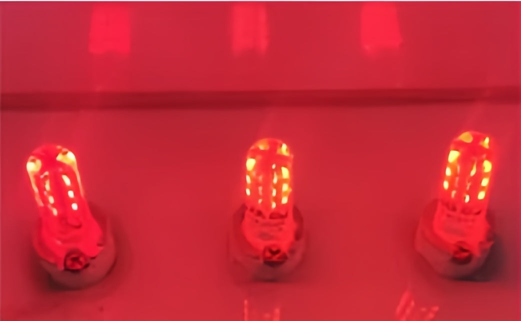 Lot de 10 ampoules LED G4 à encapsulation silicone à deux broches, 12 V, 1,5 W, SMD3014, 24 LED, équivalent halogène 10 W