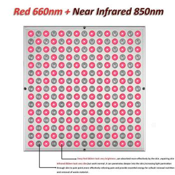 20W Floor Standing Infrared Therapy Lamp – Red Light 655–665nm & IR 850–860nm | Dimmable & Timer | AC100–240V | Aluminum Alloy + PC Cover | Includes Floor Stand | for Skin Beauty, Pain Relief of Muscles and Joints | US / EU Plug
