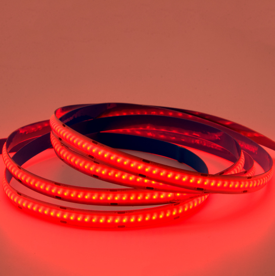 Bande LED multicolore FCOB 5 m, 840 LED/m, 14 W/m, 24 V, sans points, RVB