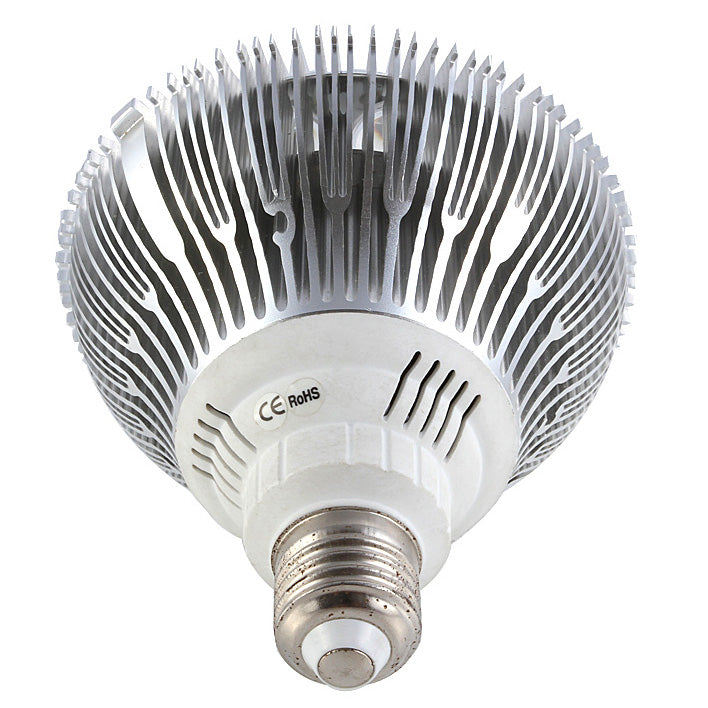 12W (12x1W) PAR38 LED Lamp with E27 Edison Screw Base 90W Equivalent 100-240V AC Silver Housing Indoor Type