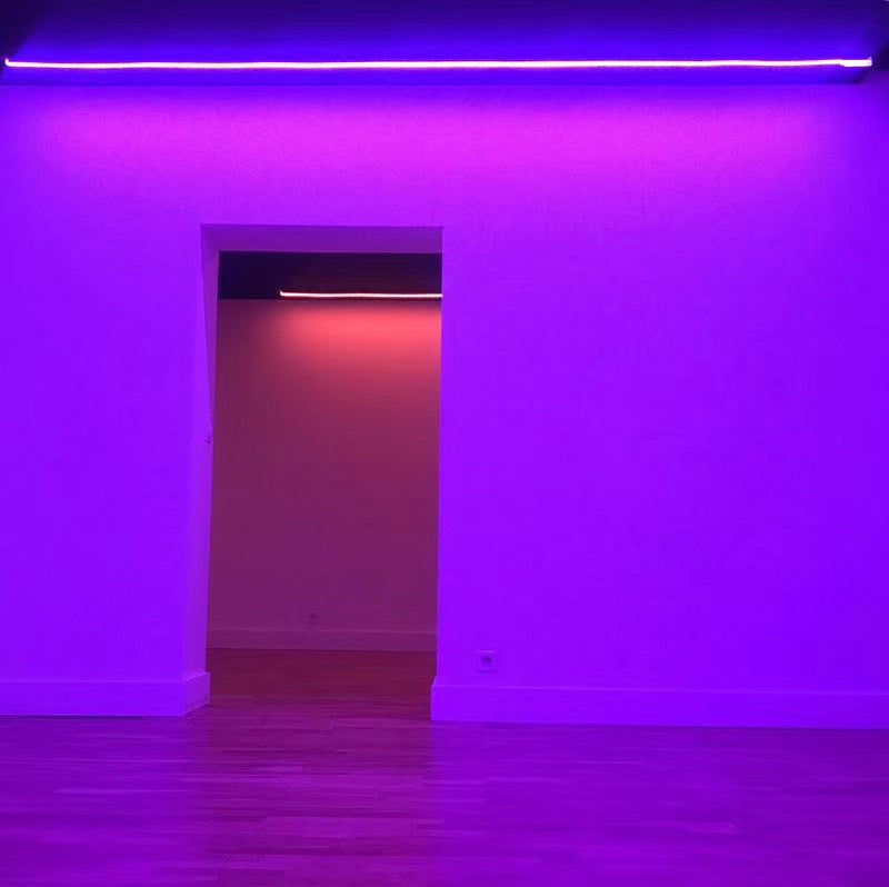 RGB Addressable Neon LED Strip Light | WS2812 SMD5050 60LEDs/M | 16×16mm Flexible Silicone Neon Rope | IP67 Waterproof | Top-Bend & Side-Bend Options | 5M Roll Kit with Power Adapter & Controller